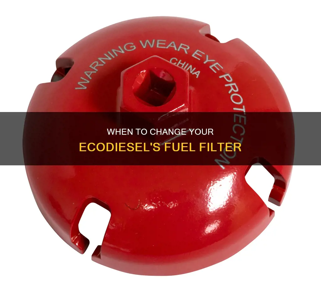 how often to change fuel filter ecodiesel