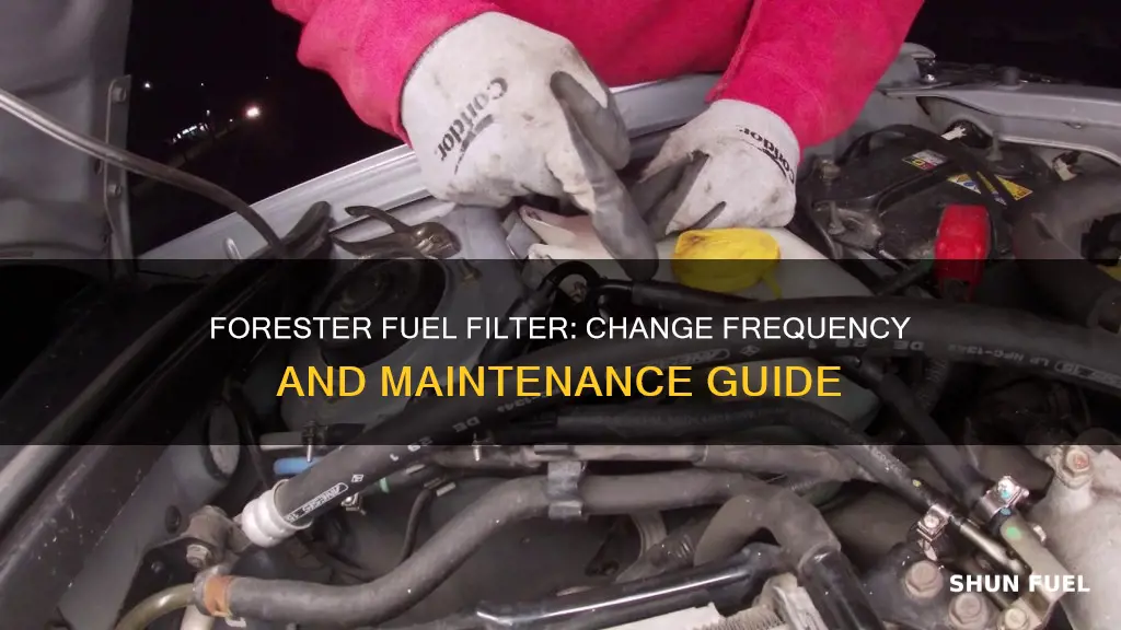 how often to change fuel filter forester