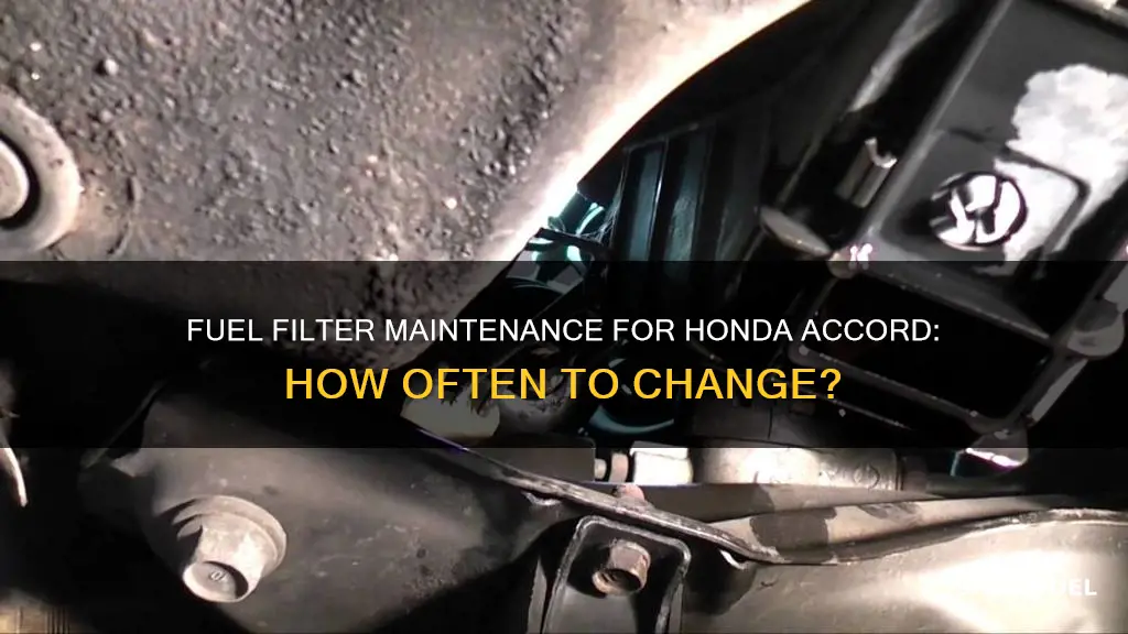 how often to change fuel filter honda accord