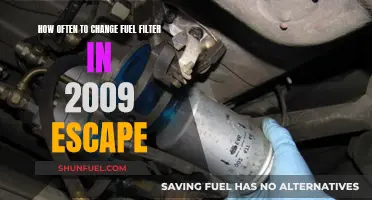 Fuel Filter Maintenance for Your 2009 Escape: How Often?