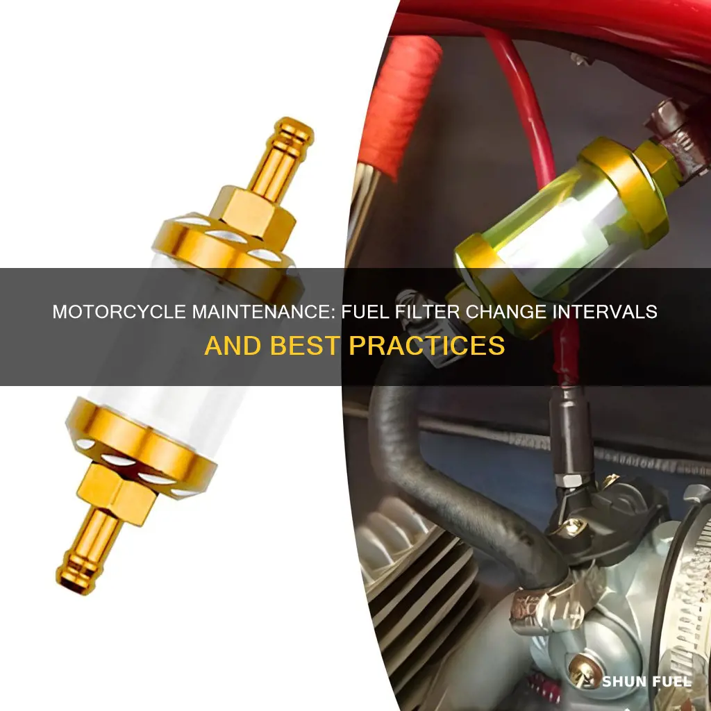 how often to change fuel filter motorcycle