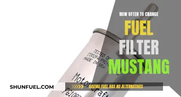 Mustang Fuel Filter: Change for Optimal Performance