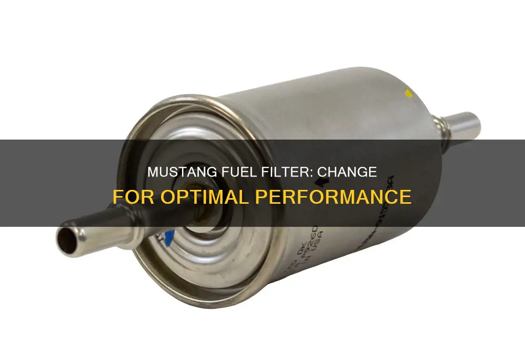 how often to change fuel filter mustang