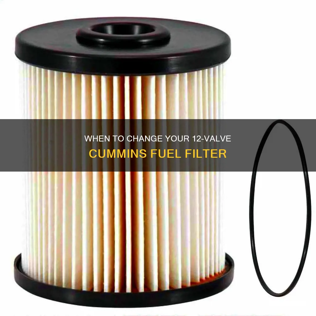 how often to change fuel filter on 12 valve cummins