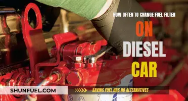 Diesel Car Maintenance: Optimal Fuel Filter Change Intervals