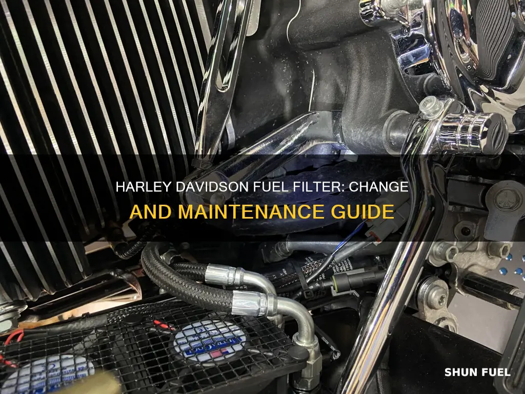 how often to change fuel filter on harley davidson