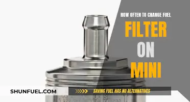 Mini Fuel Filter: Change for Optimal Performance