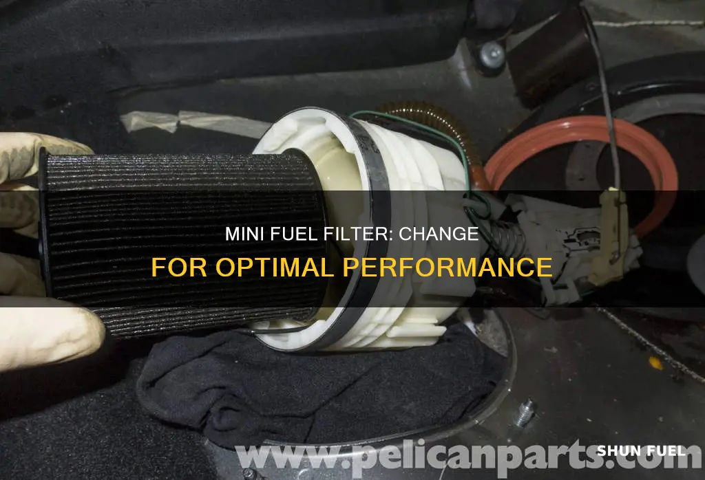 how often to change fuel filter on mini