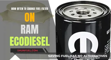 Fuel Filter Maintenance for Ram EcoDiesel: How Often to Change?