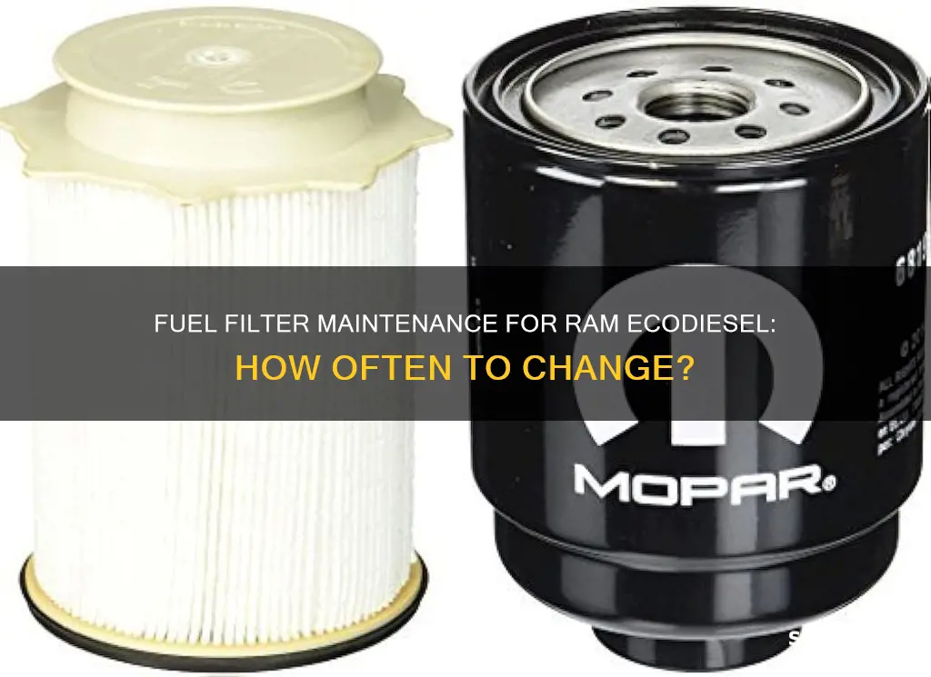 how often to change fuel filter on ram ecodiesel