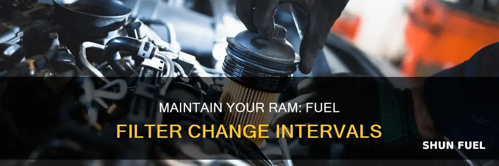 how often to change fuel filter ram 2500