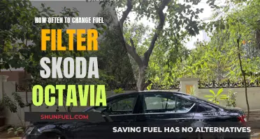 When to Change Your Skoda Octavia's Fuel Filter