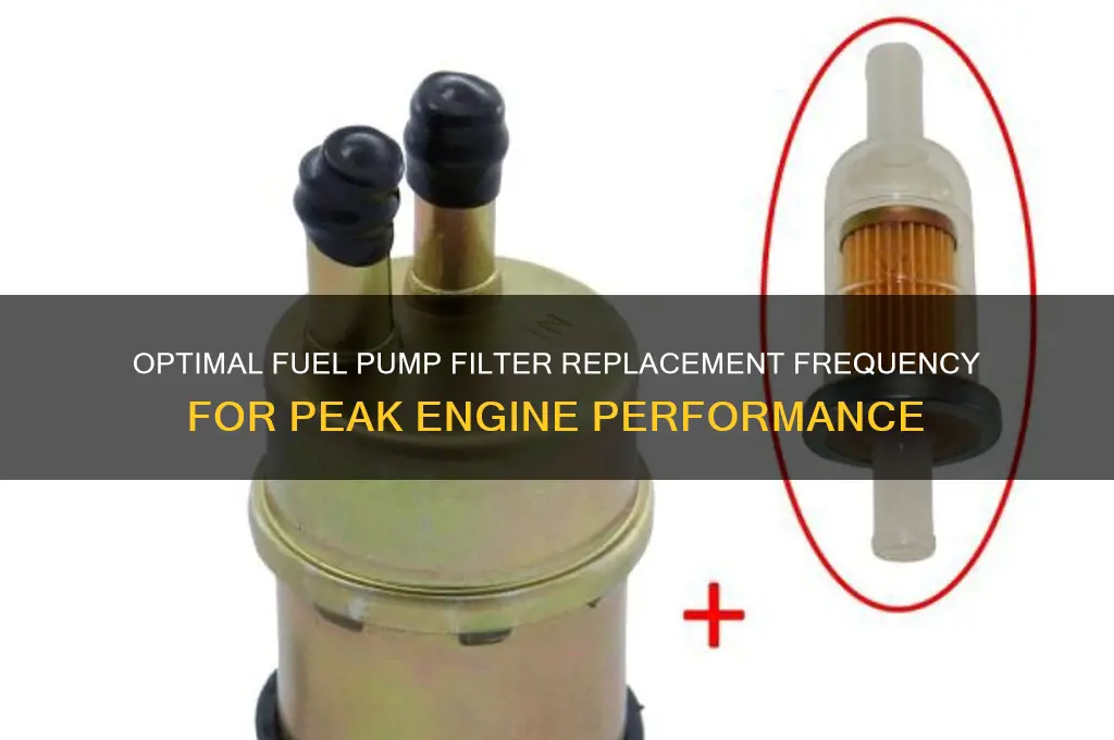 how often to change fuel pump filter