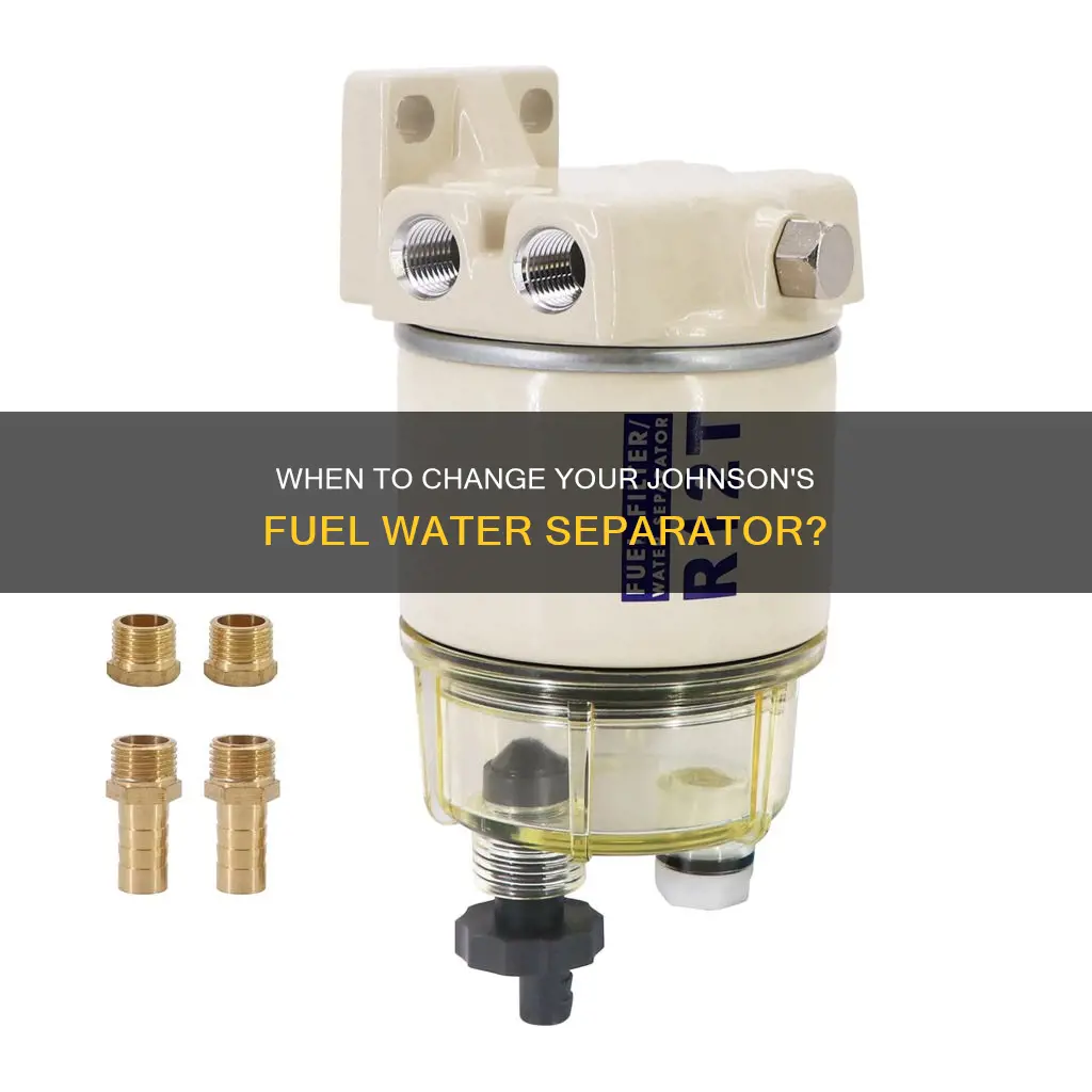 how often to change fuel water separator johnson