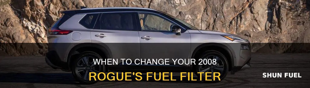 how often to change my 2008 rogue fuel filter