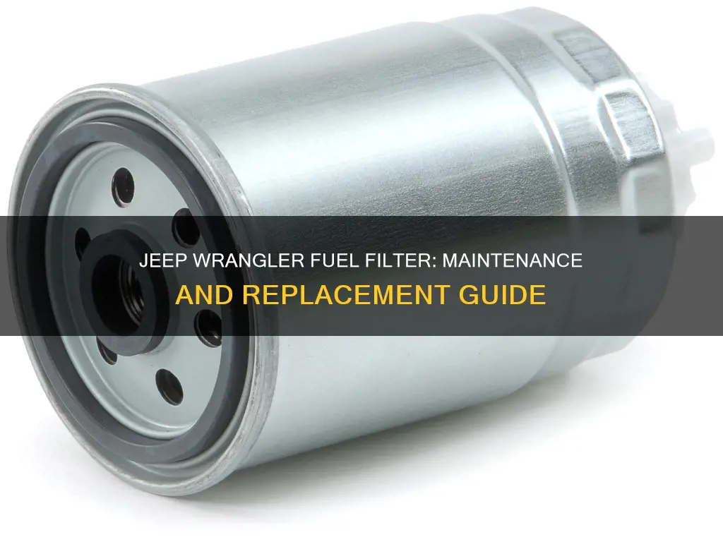 how often to replace 1995 jeep wrangler fuel filter