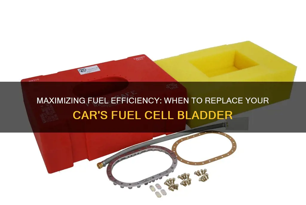 how often to replace car fuel cell bladder