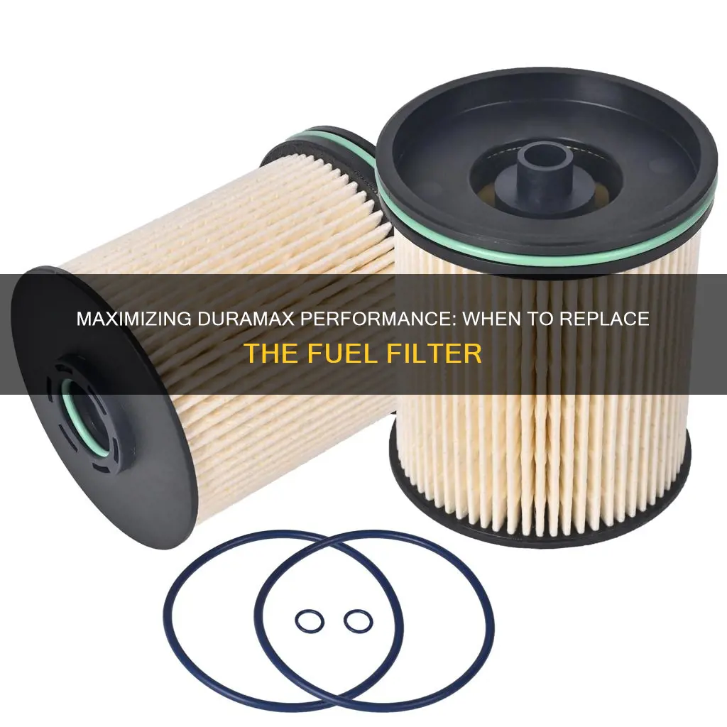 how often to replace duramax fuel filter