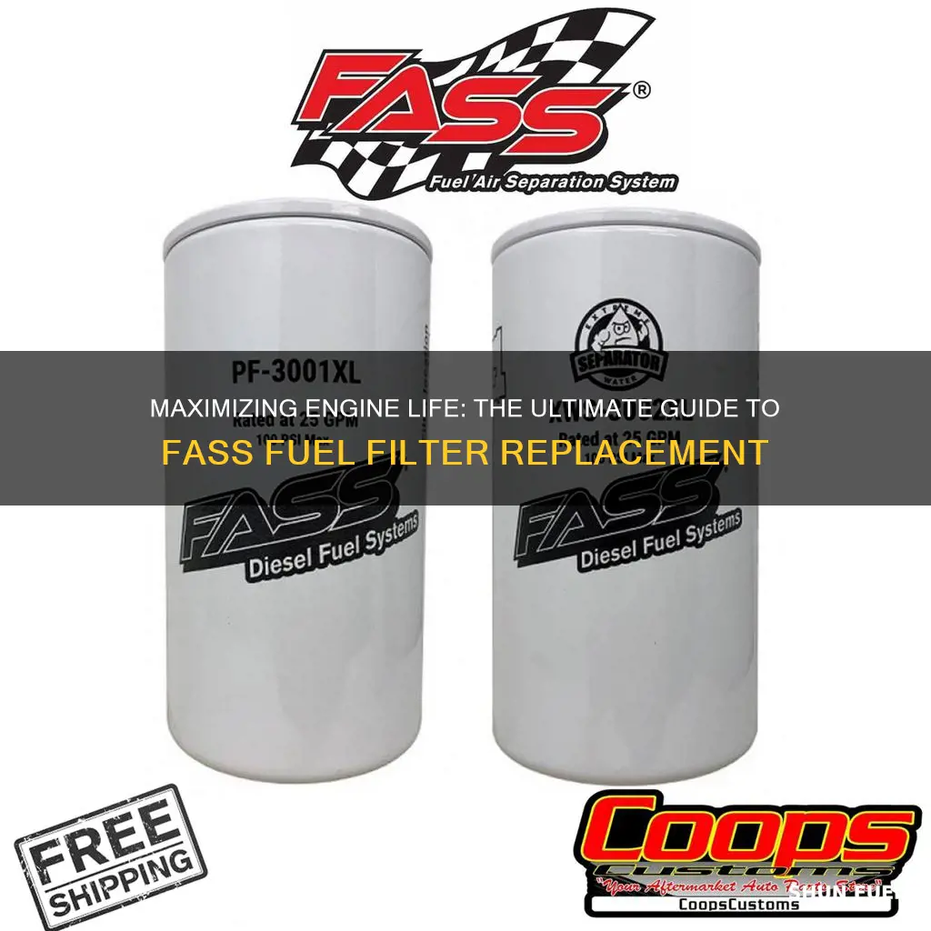 how often to replace fass fuel filters