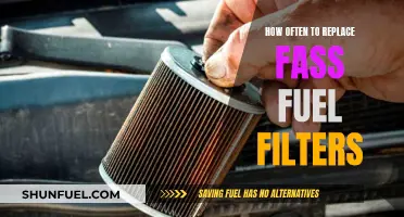 When to Replace Your FASS Fuel Filters