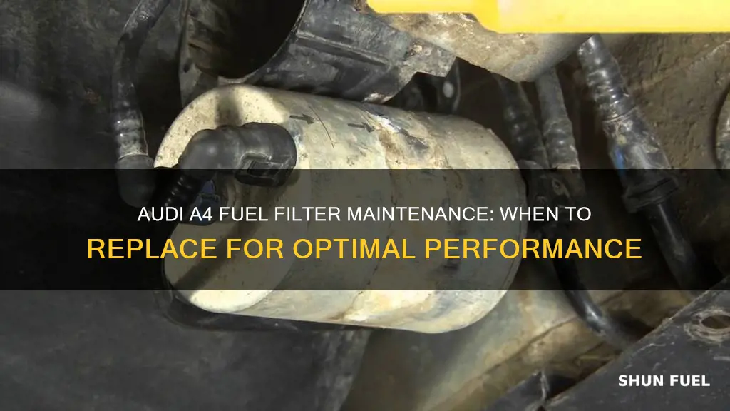 how often to replace fuel filter audi a4