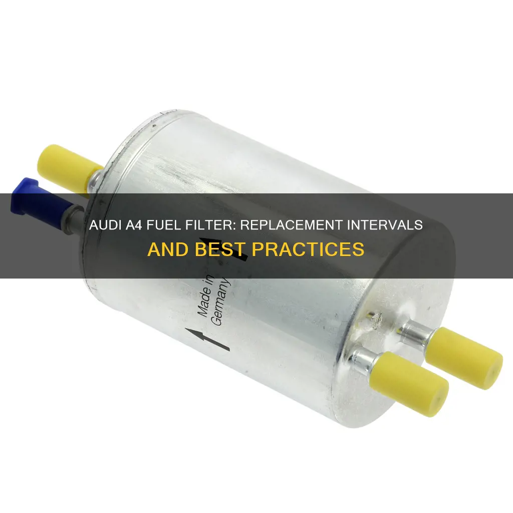 how often to replace fuel filter audi a4