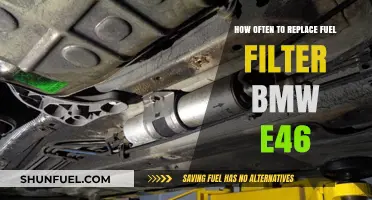 BMW E46 Fuel Filter: Optimal Replacement Schedule for Peak Performance