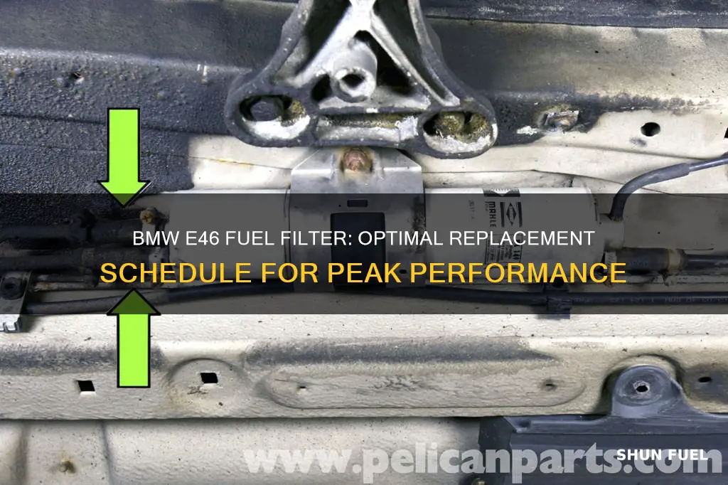 how often to replace fuel filter bmw e46