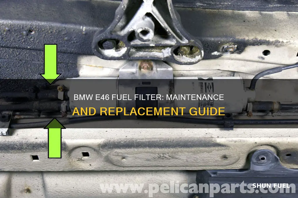 how often to replace fuel filter bmw e46