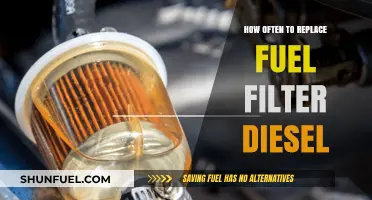 Diesel Fuel Filter Maintenance: When to Replace for Optimal Performance