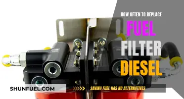 When to Replace Your Diesel Fuel Filter
