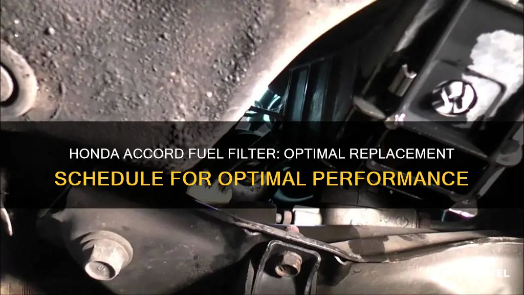 how often to replace fuel filter honda accord