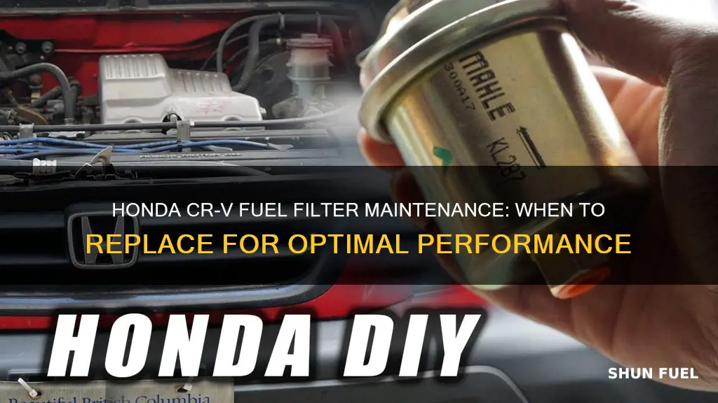 how often to replace fuel filter honda crv