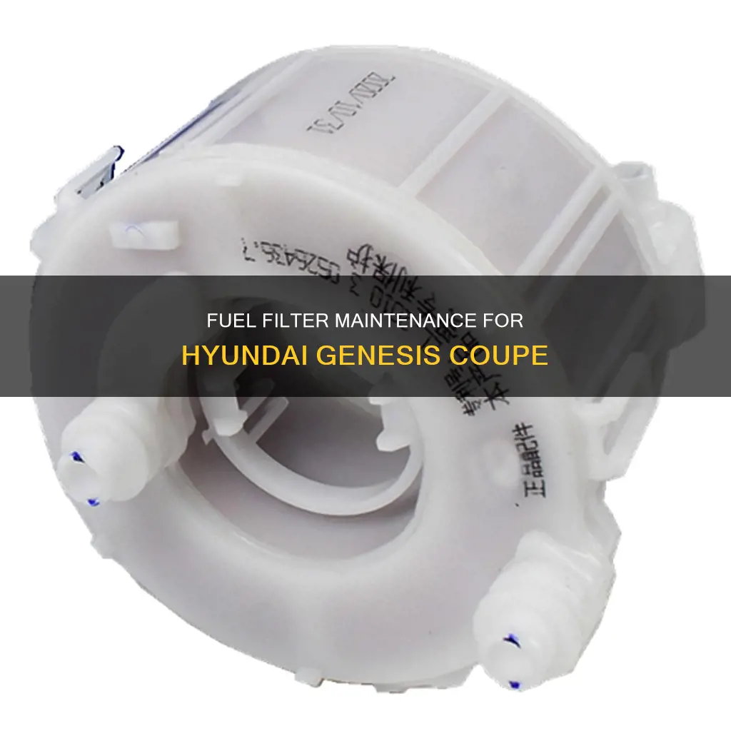 how often to replace fuel filter hyundai genesis coupe
