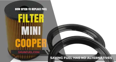 Mini Cooper Fuel Filter: When to Replace for Optimal Performance