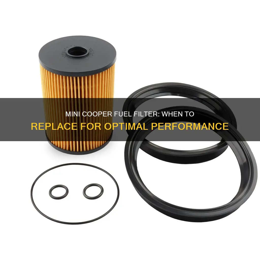 how often to replace fuel filter mini cooper