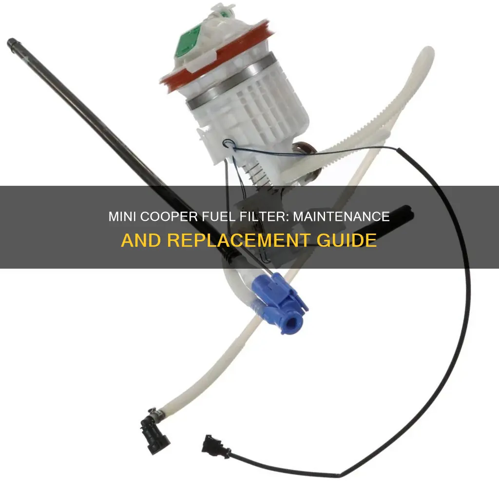 how often to replace fuel filter mini cooper