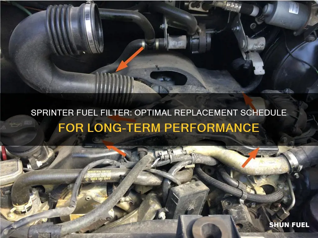 how often to replace fuel filter on sprinter