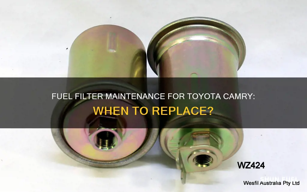 how often to replace fuel filter totyota camry 20001