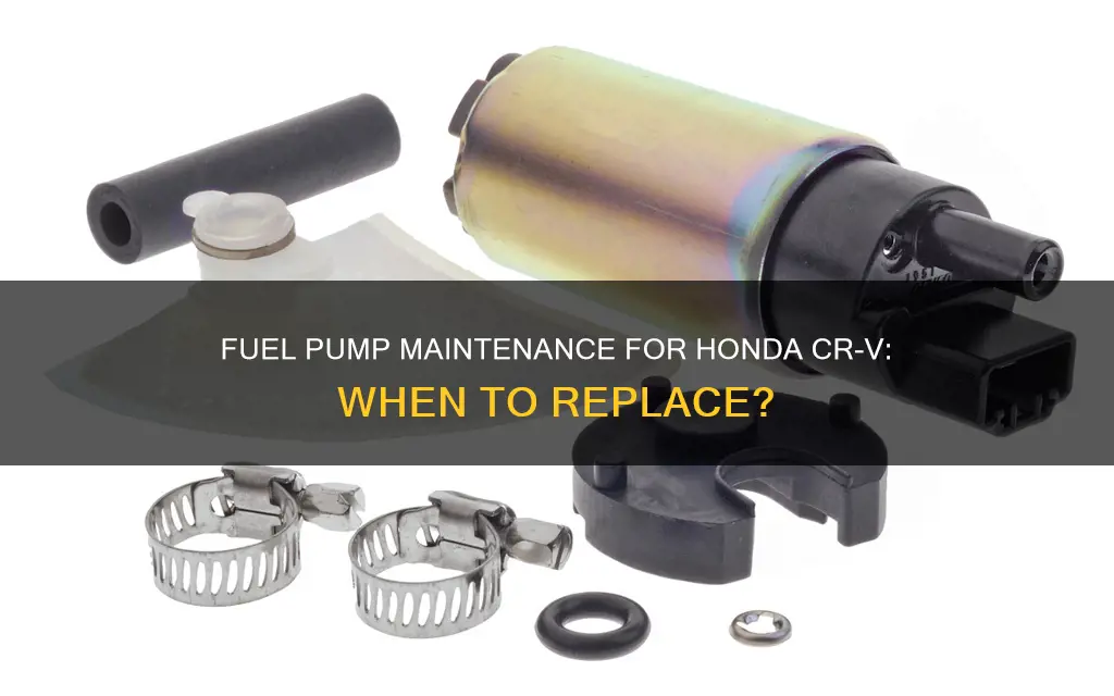 how often to replace fuel pump honda cr v