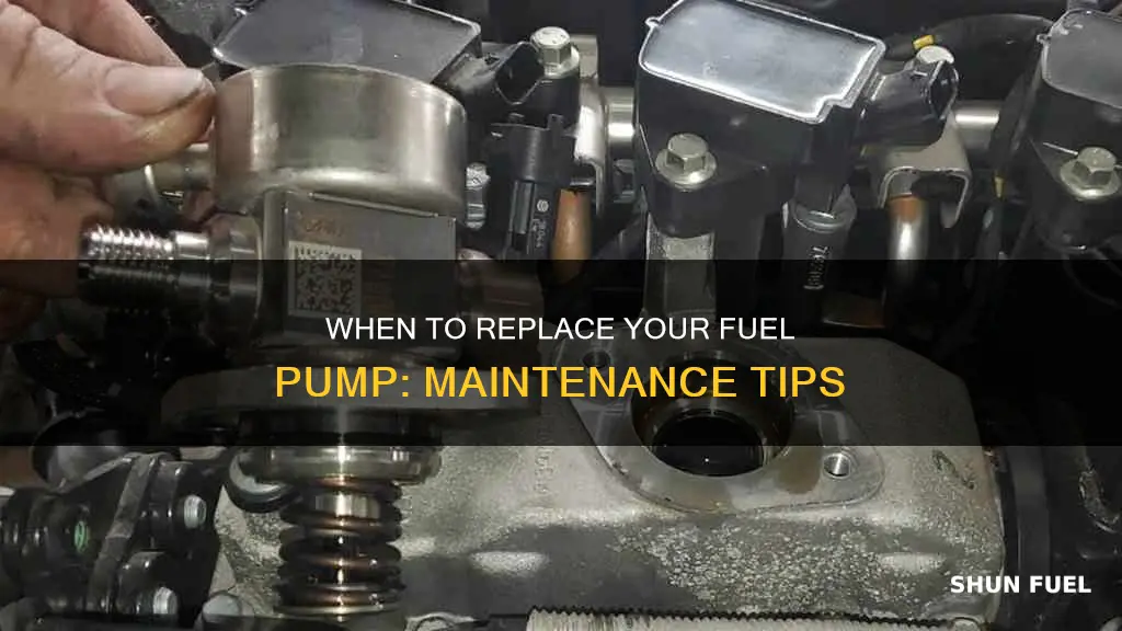 how often to replace fuel pump