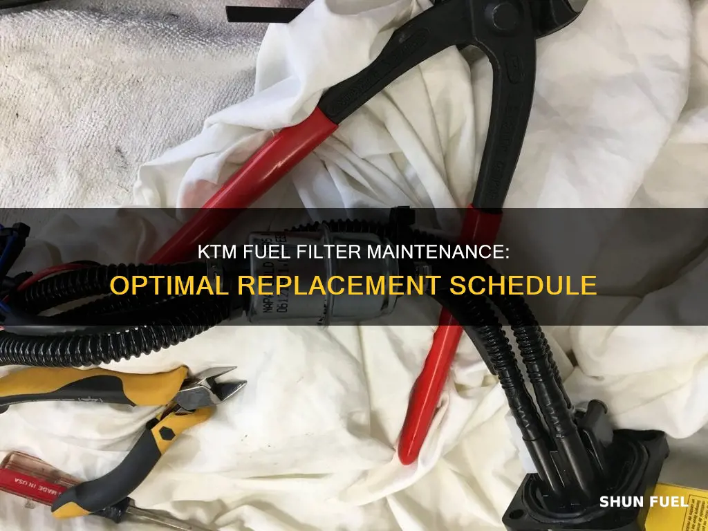 how often to replace ktm fuel filter