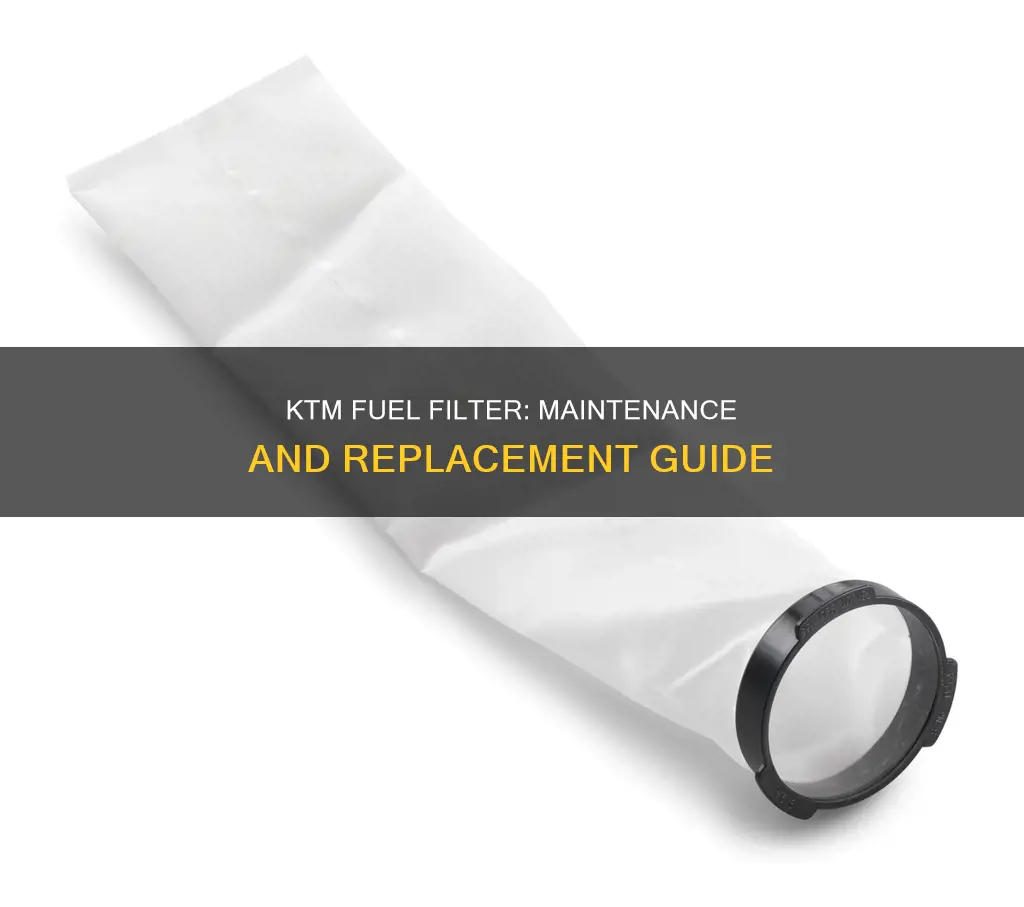 how often to replace ktm fuel filter