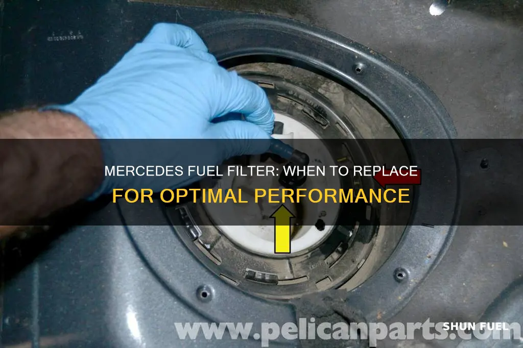 how often to replace mercedes fuel filter