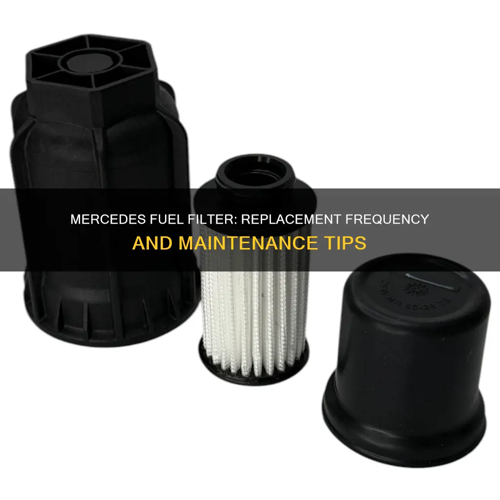 how often to replace mercedes fuel filter