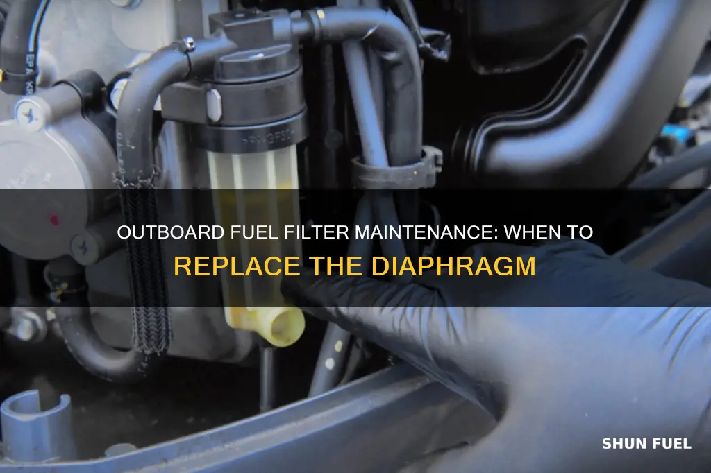 how often to replace outboard fuel filter diaphram