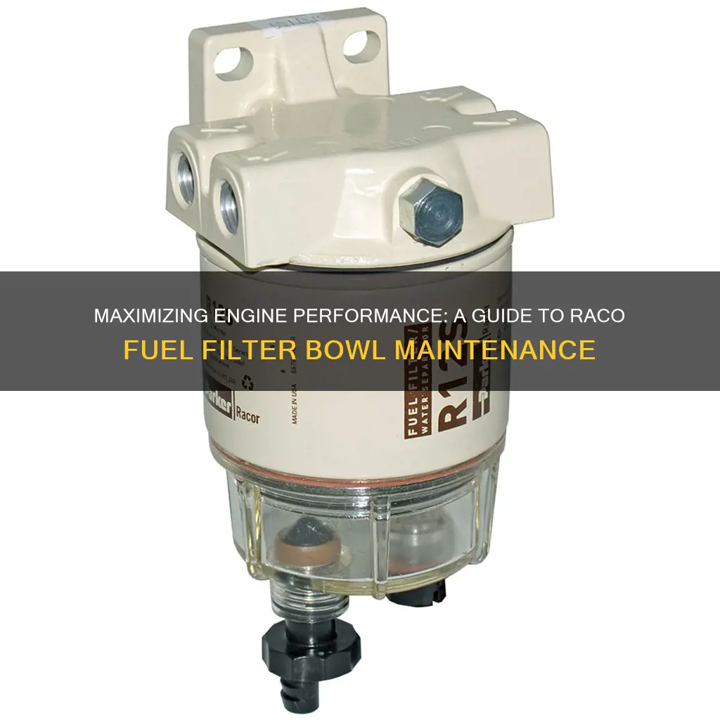 how often to replace racor fuel filter bowl