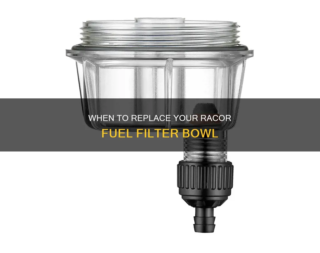 how often to replace racor fuel filter bowl
