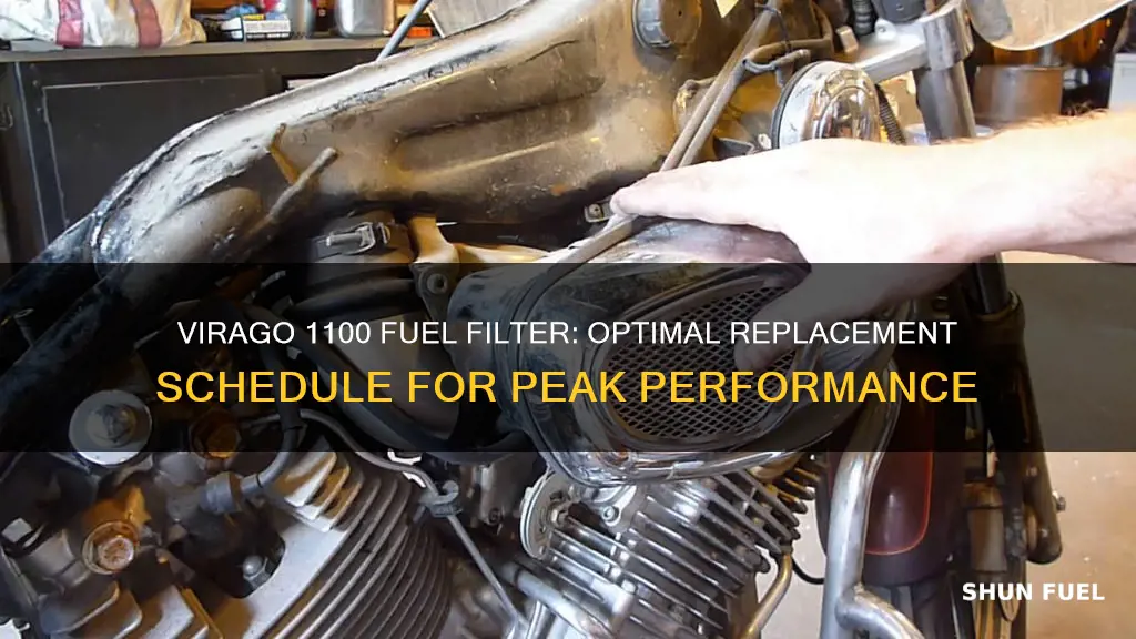 how often to replace virago 1100 fuel filter