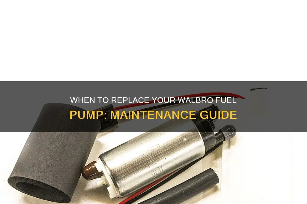 how often to replace walbro fuel pump